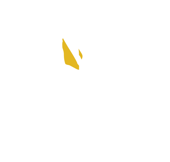 Kenadyr Mining Corp.
